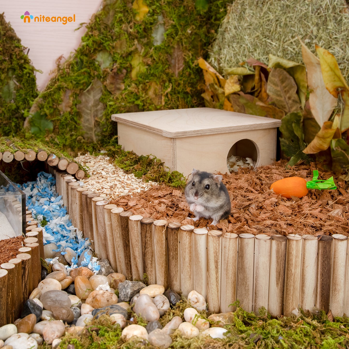 Niteangel Hamster Suspension Bridge Toy - Long Climbing Ladder for Dwarf Syrian Hamster Mice Mouse Gerbils and Other Small Animals