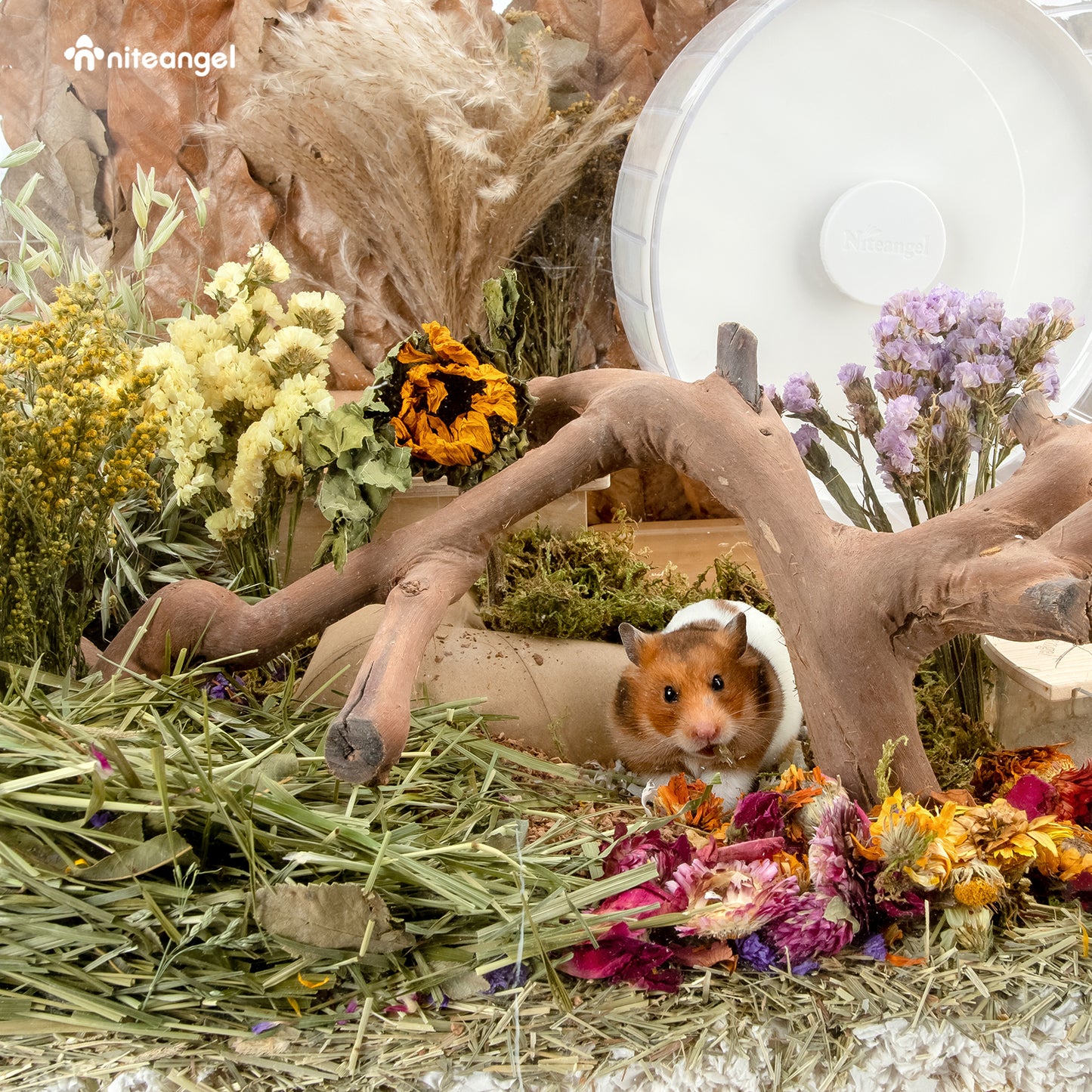Niteangel Natural & Soft Hamster Bedding Mate Small Animal Habitat Decor for Syrian Dwarf Hamsters Gerbi