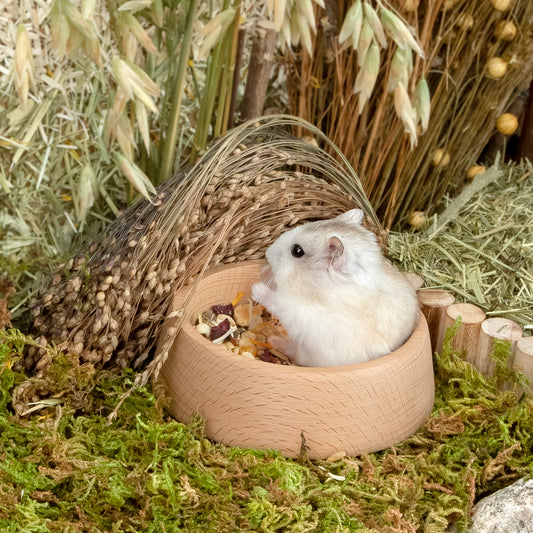 Niteangel Wooden Hamster Feeding Bowl - Small Animal Food Dish for Dwarf Syrian Hamsters Gerbils Mice Degus or Other Similar