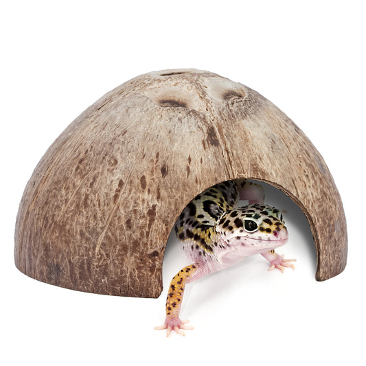 Niteangel Lot de 2 cachettes naturelles en noix de coco pour reptiles, lézards, araignées et poissons d'aquarium (surface lisse)