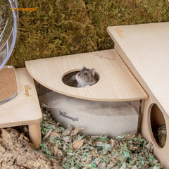 Niteangel Animal Sand-Bath Box: - Acrylic Critter's Sand Bath Shower Room & Digging Sand Container for Hamsters Mice Lemming Gerbils or Other Small Pets