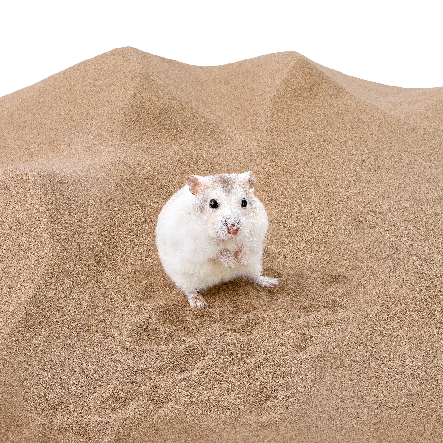 Niteangel Desert Bathing Desert Sand for Hamster Gerbil Mice Degu or Other Small Pets