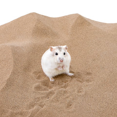 Niteangel Desert Badender Wüstensand für Hamster, Rennmäuse, Mäuse, Degu oder andere kleine Haustiere