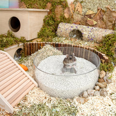 Niteangel Trainingsstreu-Sand - Hamster-Sandbad für syrische Zwerghamster, Rennmäuse, Lemminge, Degus oder andere Kleintiere (1,4 l x 2 - Lila Etikett)