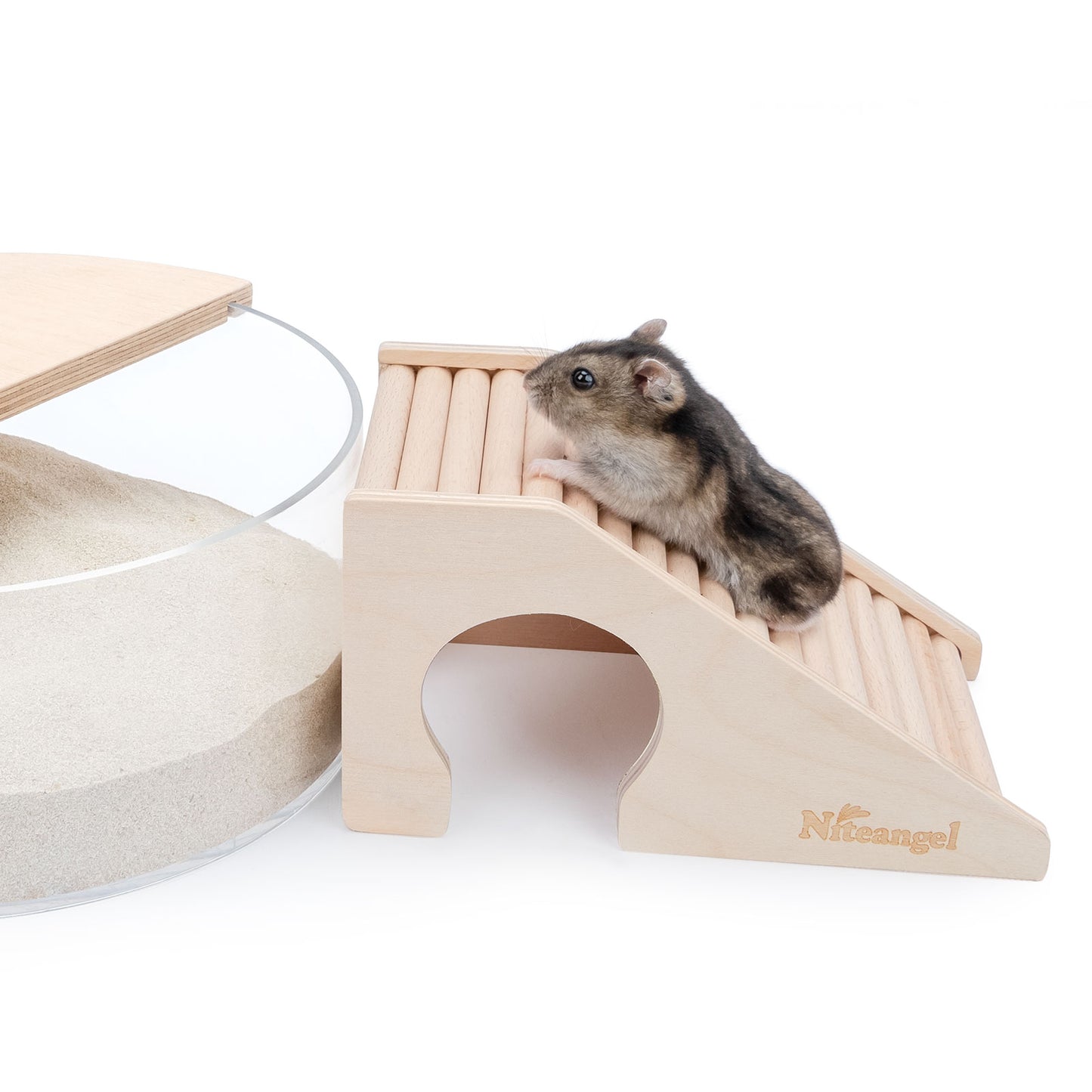 Niteangel Hiding Ladder for Hamsters Gerbils Mice or Similar-Sized Pets