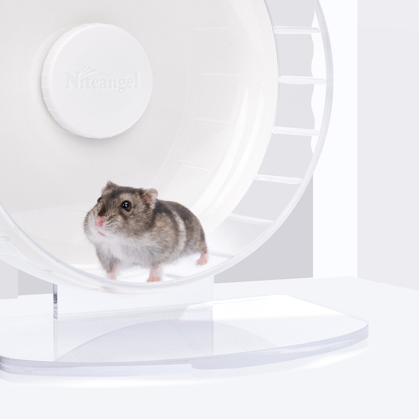 Niteangel Super-Silent Hamster Exercise Wheels: - Quiet Spinner Hamster Running Wheels with Adjustable Stand for Hamsters Gerbils Mice Or Other Small Animals