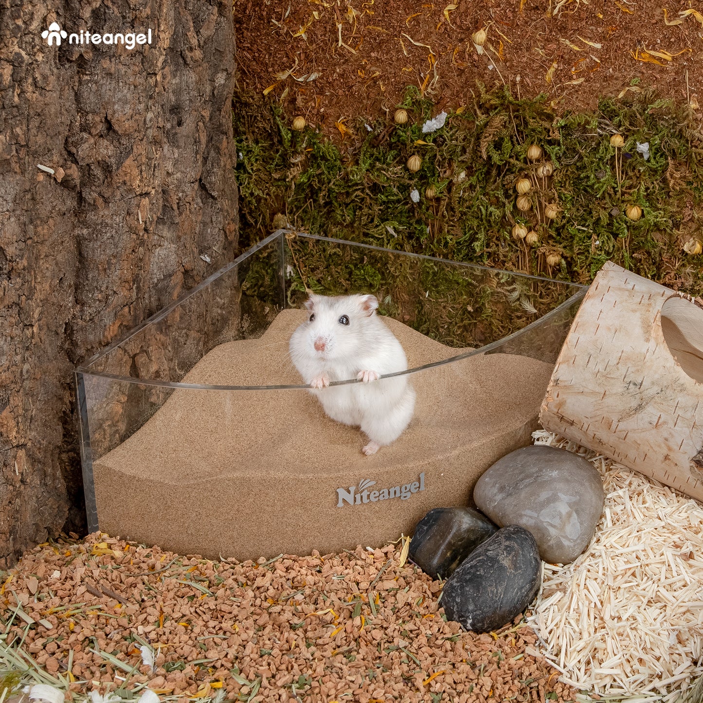Niteangel Desert Bathing Desert Sand for Hamster Gerbil Mice Degu or Other Small Pets