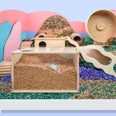 Niteangel Visible Hamster Digging Box: - for Syrian Dwarf Roborovski Campbell Hamsters