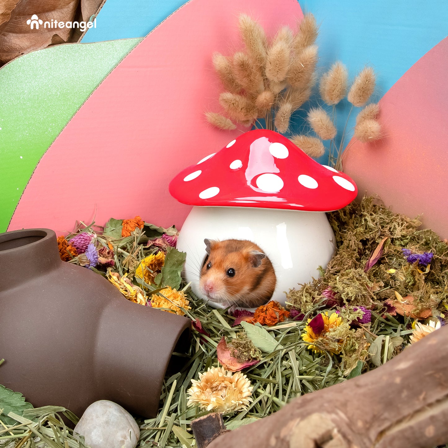 Niteangel Ceramic Hamster Habitat Hideout