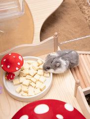 Niteangel Jouet Friandises et En-cas pour Hamsters - Friandises naturelles pour petits animaux, notamment hamsters nains syriens, gerbilles, souris, lemmings, octodons et autres petits animaux de compagnie.