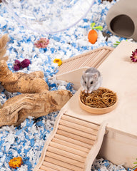 Niteangel Jouet Friandises et En-cas pour Hamsters - Friandises naturelles pour petits animaux, notamment hamsters nains syriens, gerbilles, souris, lemmings, octodons et autres petits animaux de compagnie.