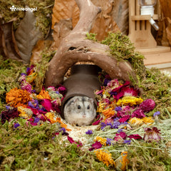 Niteangel Natural & Soft Hamster Bedding Mate Small Animal Habitat Decor for Syrian Dwarf Hamsters Gerbi