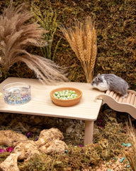 Niteangel Jouet Friandises et En-cas pour Hamsters - Friandises naturelles pour petits animaux, notamment hamsters nains syriens, gerbilles, souris, lemmings, octodons et autres petits animaux de compagnie.