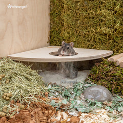 Niteangel Animal Sand-Bath Box: - Acrylic Critter's Sand Bath Shower Room & Digging Sand Container for Hamsters Mice Lemming Gerbils or Other Small Pets