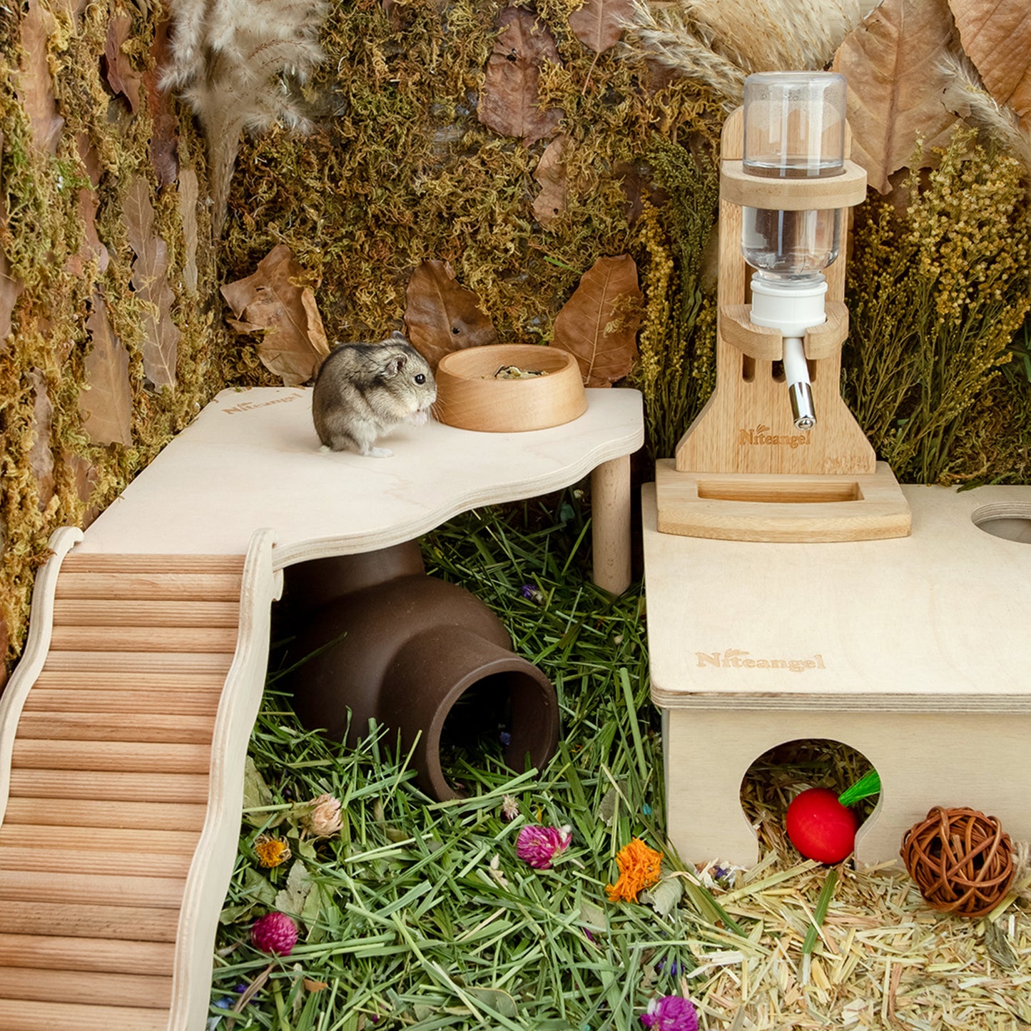 Niteangel Hamster Play Wooden Platform for Dwarf Syrian Hamsters Gerbils Mice Degus or Other Small Pets