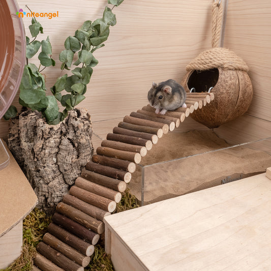Niteangel Hamster Suspension Bridge Toy - Long Climbing Ladder for Dwarf Syrian Hamster Mice Mouse Gerbils and Other Small Animals