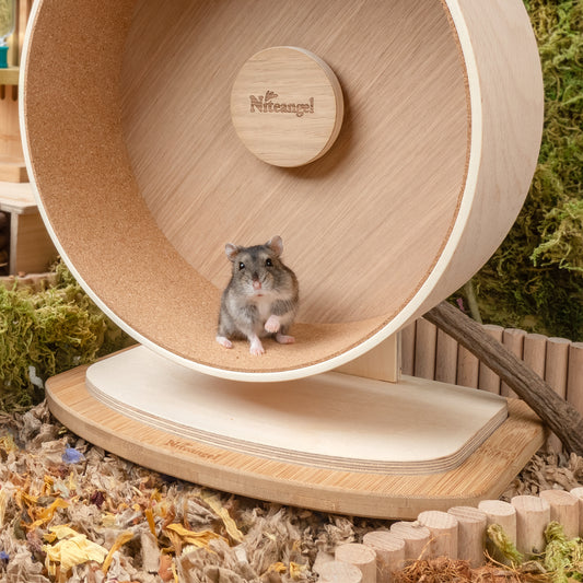 Niteangel Anti-Slide Hamster Wheel Platform - Fits Super-Silent Hamster Wheel | Acrylic Wheel | Wooden Wheel | Cloud Series Hamster Wheel