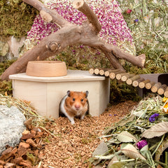 Niteangel Hamster House for Hamsters Gerbils Mice or Similar-Sized Pets (Triangle-Shaped Hamster Hut)