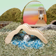 Niteangel Hamster-Kletterspielzeug, Holzleiterbrücke für Hamster, Rennmäuse, Mäuse und Kleintiere