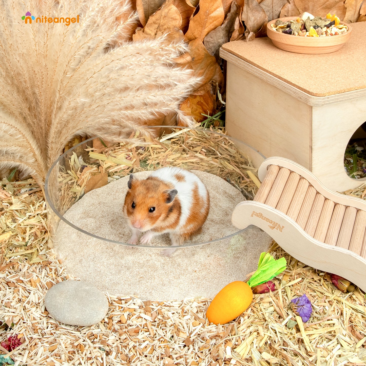 Niteangel Desert Sable du désert pour hamster, gerbille, souris, Degu ou autres petits animaux de compagnie