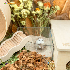 Niteangel Desert Badender Wüstensand für Hamster, Rennmäuse, Mäuse, Degu oder andere kleine Haustiere