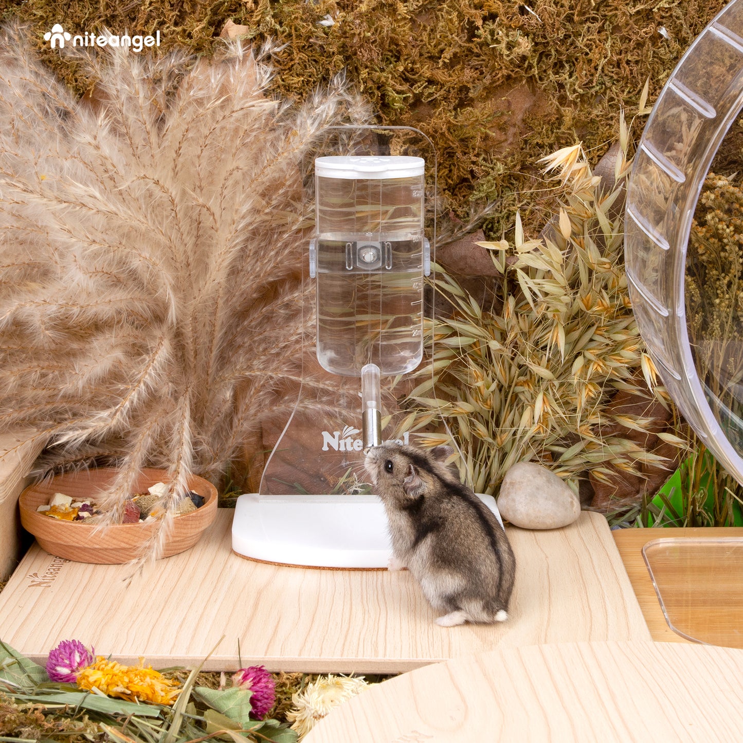 Niteangel Wasserflasche mit Ständer für kleine Nagetiere