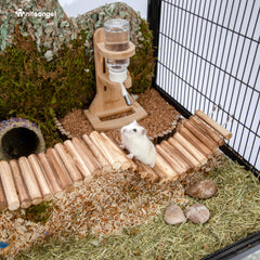Niteangel Hamster Suspension Bridge Toy - Long Climbing Ladder for Dwarf Syrian Hamster Mice Mouse Gerbils and Other Small Animals