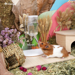 Bouteille d'eau Niteangel avec support pour petits rongeurs de compagnie