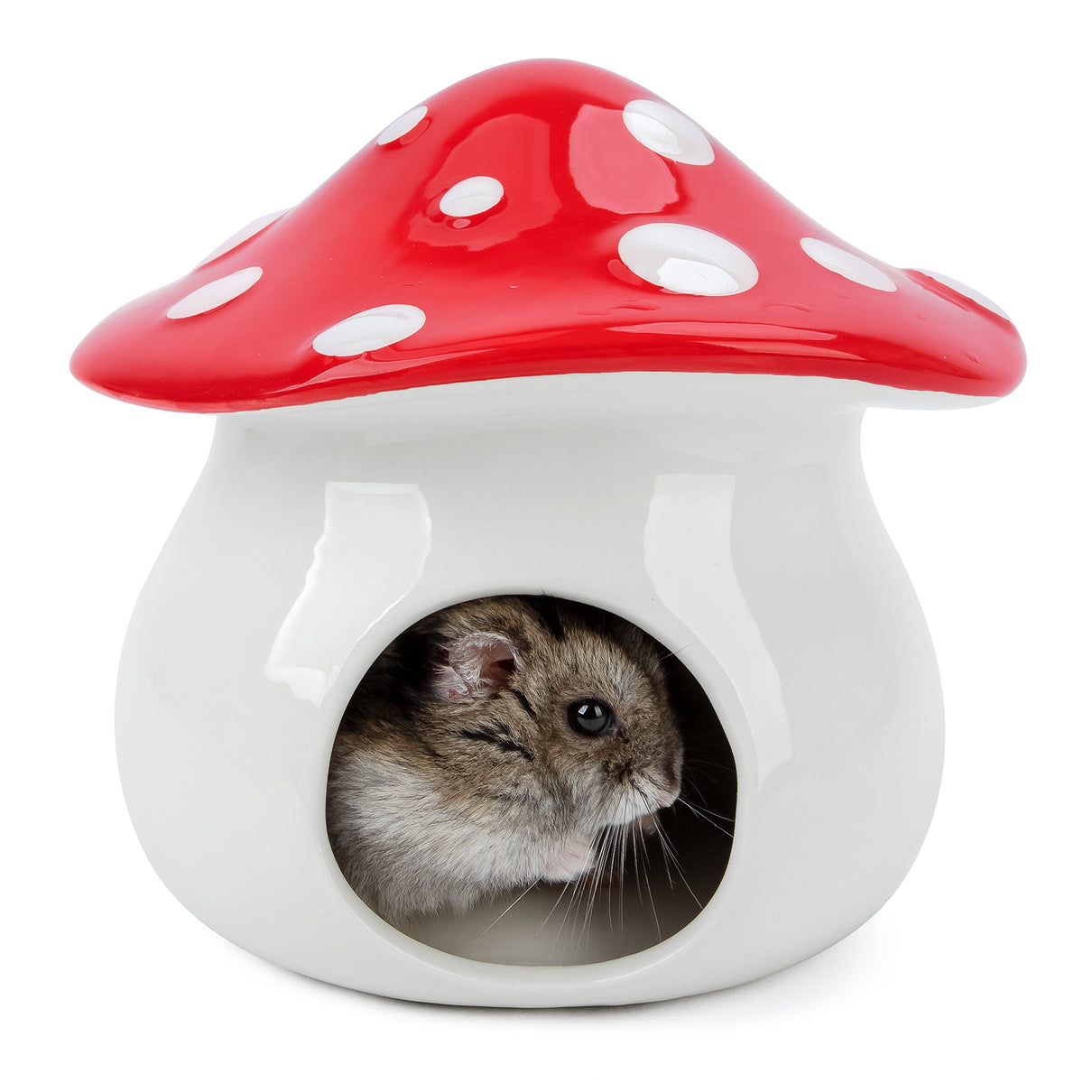 Niteangel Ceramic Hamster Habitat Hideout