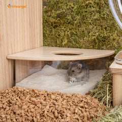 Niteangel Animal Sand-Bath Box: - Acrylic Critter's Sand Bath Shower Room & Digging Sand Container for Hamsters Mice Lemming Gerbils or Other Small Pets