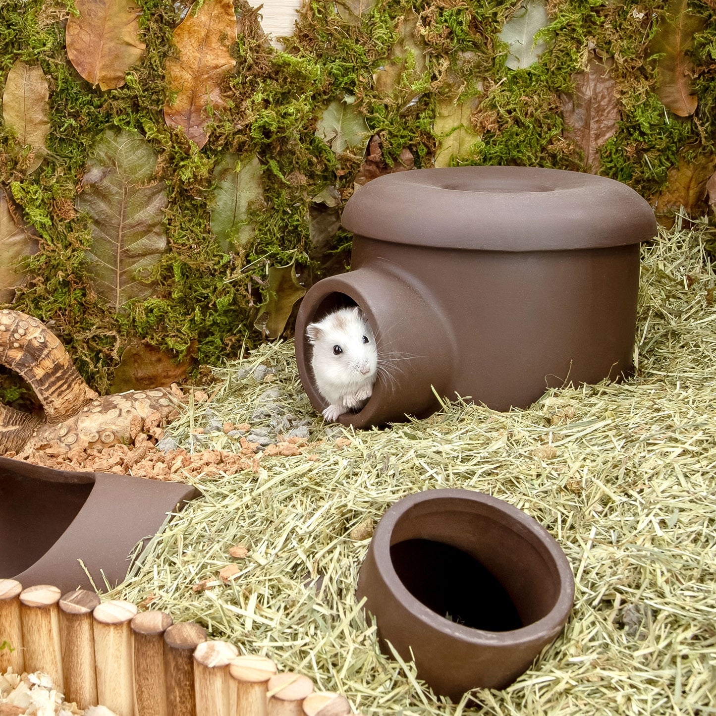 Niteangel Ceramic Hamster Tunnel & Tubes Hideout: for Dwarf Robo Syrian Hamsters Mice Rats or Other Small Animals