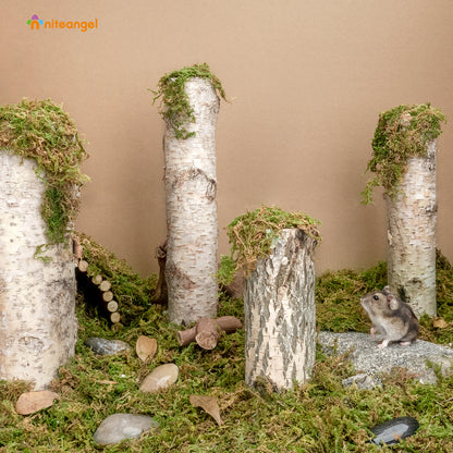 Niteangel 5L Forest Moss Soft Natural Moss Bedding Nesting for Dwarf Syrian Hamsters, Gerbils, mices, Degus or Other Small Animal