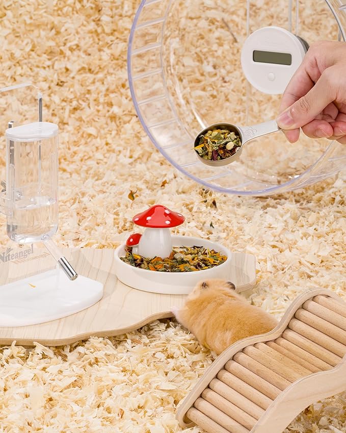 Niteangel Hamster Food Scoop - Stainless Steel Measuring Scoop for Dwarf Syrian Hamsters Gerbils Mice Degus or Other Similar-Sized Small Pets