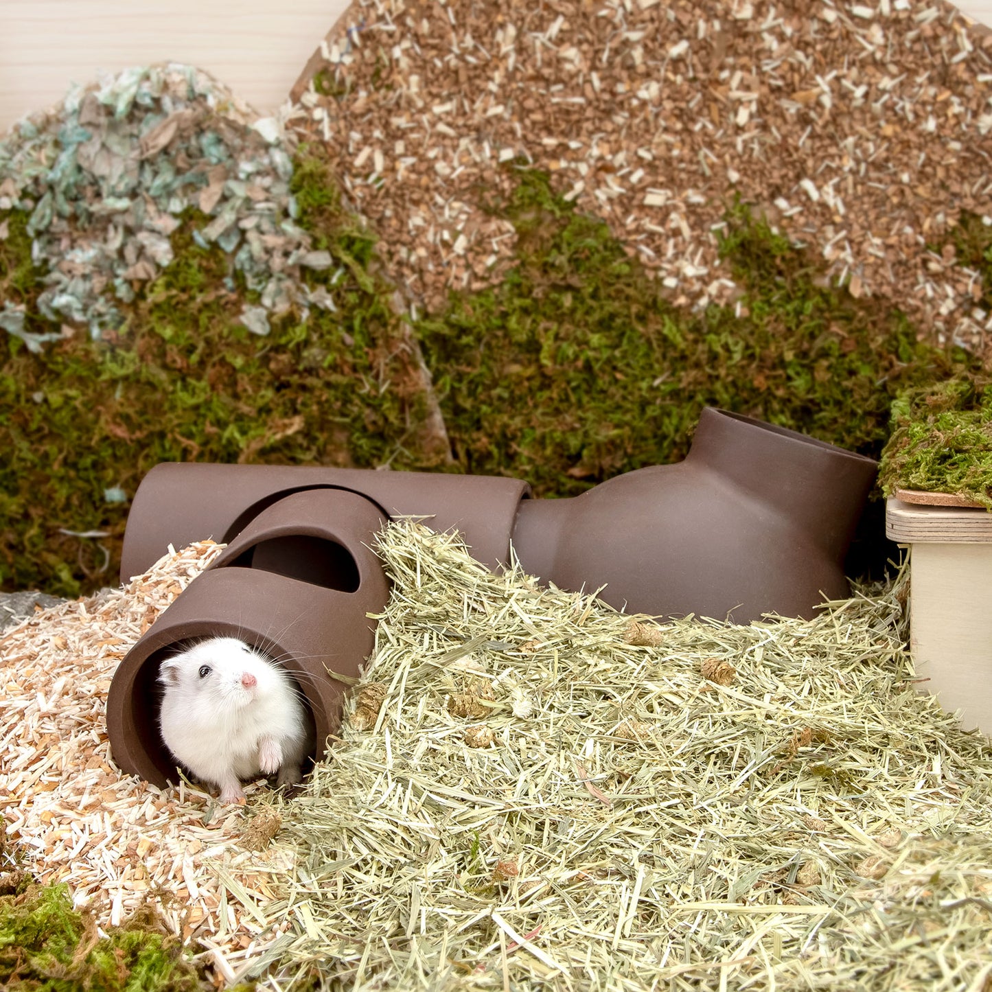 Niteangel Ceramic Hamster Tunnel & Tubes Hideout: for Dwarf Robo Syrian Hamsters Mice Rats or Other Small Animals