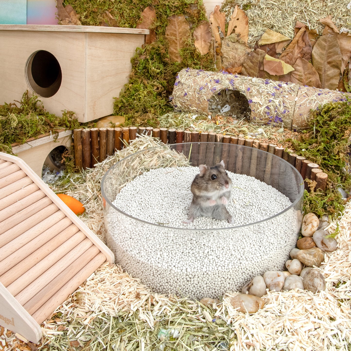 Niteangel Training Litter Potty Sand - Hamster Sand Bath for Syrian Dwarf Hamsters Gerbil Lemming Degus or Other Small Pets (1.4 L x 2 - Purple Label)