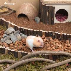 Niteangel Natural Coco/Cork Hamster Bedding Pet Litter for Dwarf Syrian Hamsters, Gerbils, mices, Degus or Other Small Animal