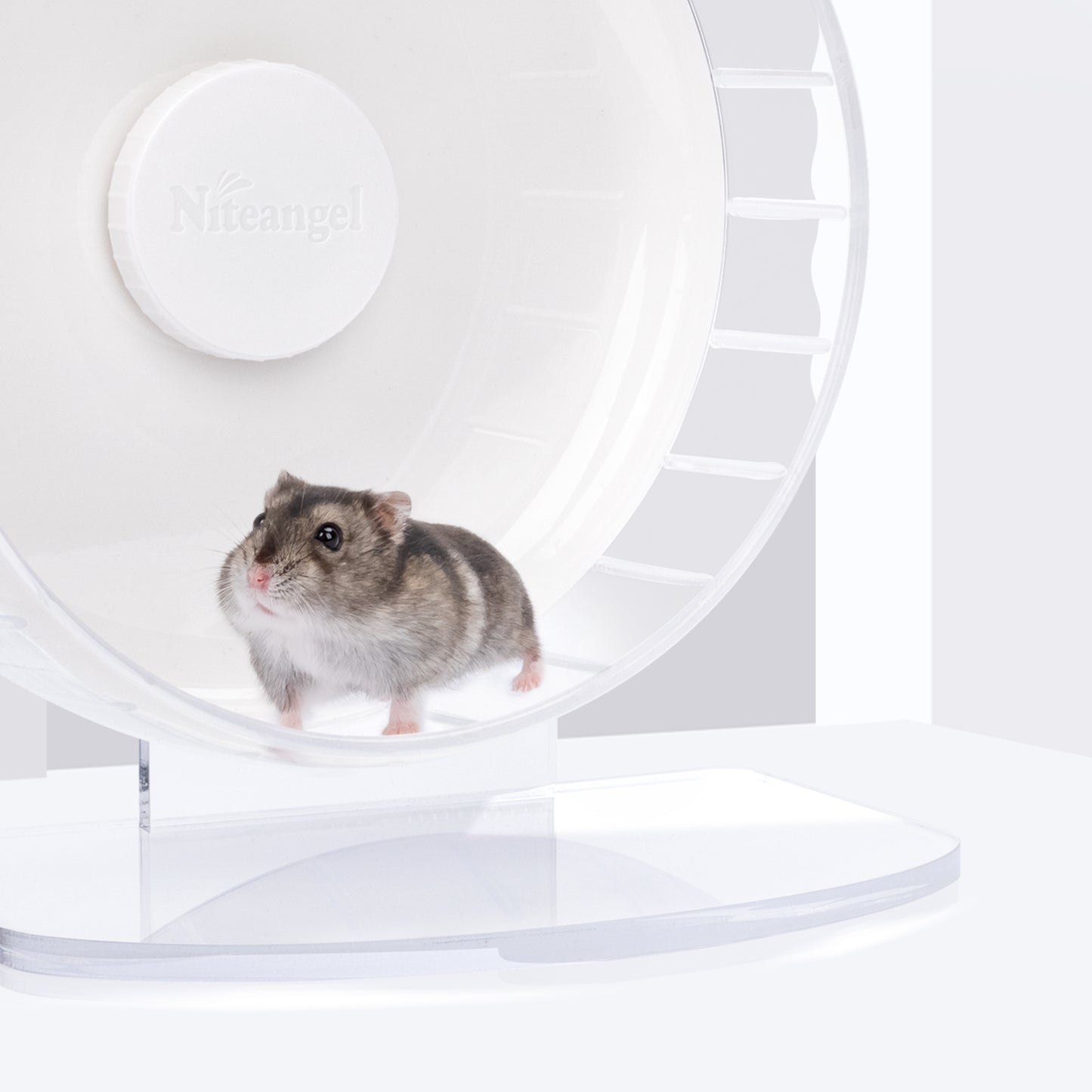 Niteangel Roues d'exercice super silencieuses pour hamster : – Roues de course silencieuses pour hamster avec support réglable pour hamsters, gerbilles, souris ou autres petits animaux