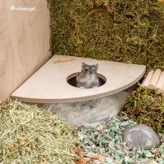 Niteangel Animal Sand-Bath Box: - Acrylic Critter's Sand Bath Shower Room & Digging Sand Container for Hamsters Mice Lemming Gerbils or Other Small Pets