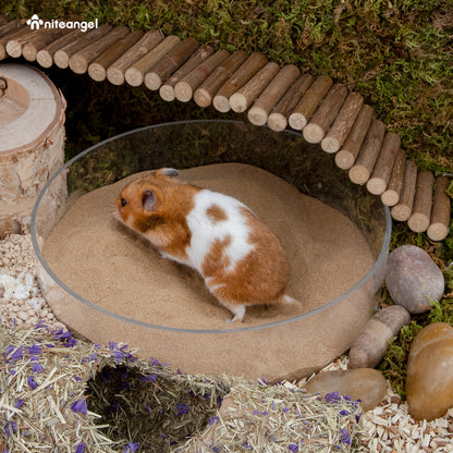 Niteangel Desert Bathing Desert Sand for Hamster Gerbil Mice Degu or Other Small Pets