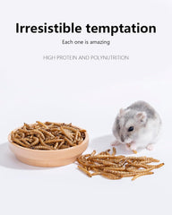 Niteangel Jouet Friandises et En-cas pour Hamsters - Friandises naturelles pour petits animaux, notamment hamsters nains syriens, gerbilles, souris, lemmings, octodons et autres petits animaux de compagnie.