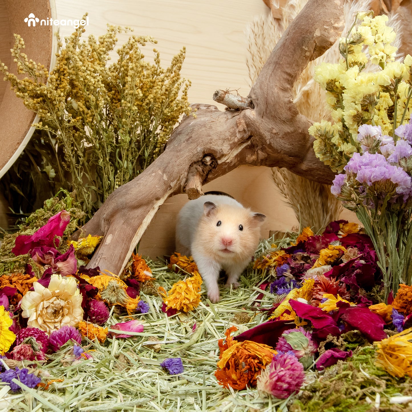 Niteangel Parure de lit naturelle et douce pour hamsters, décoration d'habitat pour petits animaux pour hamsters nains syriens Gerbi 