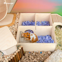 Niteangel Small Animal Sand-Bath Box - Acrylic Critter's Sand Bath Shower Room & Digging Sand Container for Hamsters Mice Lemming Gerbils or Other Small Pets (Fan-Shaped, Transparent)