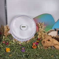 Niteangel Schrittzähler für Hamsterräder – Schrittzähler für Kleintiere, passend für das superleise Niteangel Hamsterrad | Acrylrad | Holzrad | Hamsterrad der Cloud-Serie