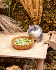 Niteangel Jouet Friandises et En-cas pour Hamsters - Friandises naturelles pour petits animaux, notamment hamsters nains syriens, gerbilles, souris, lemmings, octodons et autres petits animaux de compagnie.