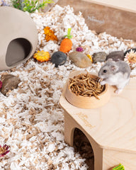 Niteangel Jouet Friandises et En-cas pour Hamsters - Friandises naturelles pour petits animaux, notamment hamsters nains syriens, gerbilles, souris, lemmings, octodons et autres petits animaux de compagnie.