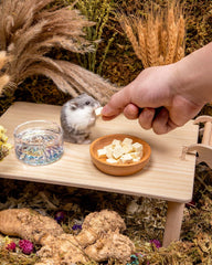 Niteangel Jouet Friandises et En-cas pour Hamsters - Friandises naturelles pour petits animaux, notamment hamsters nains syriens, gerbilles, souris, lemmings, octodons et autres petits animaux de compagnie.