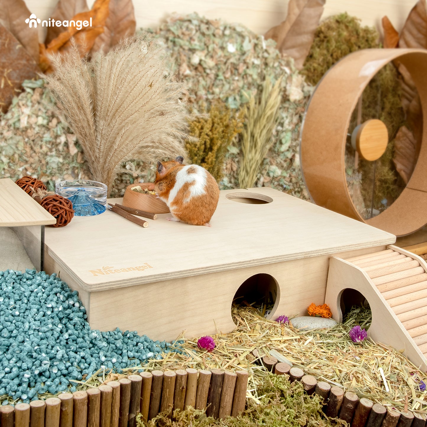 Niteangel Grande cachette en bois multi-chambres pour hamsters nains et syriens