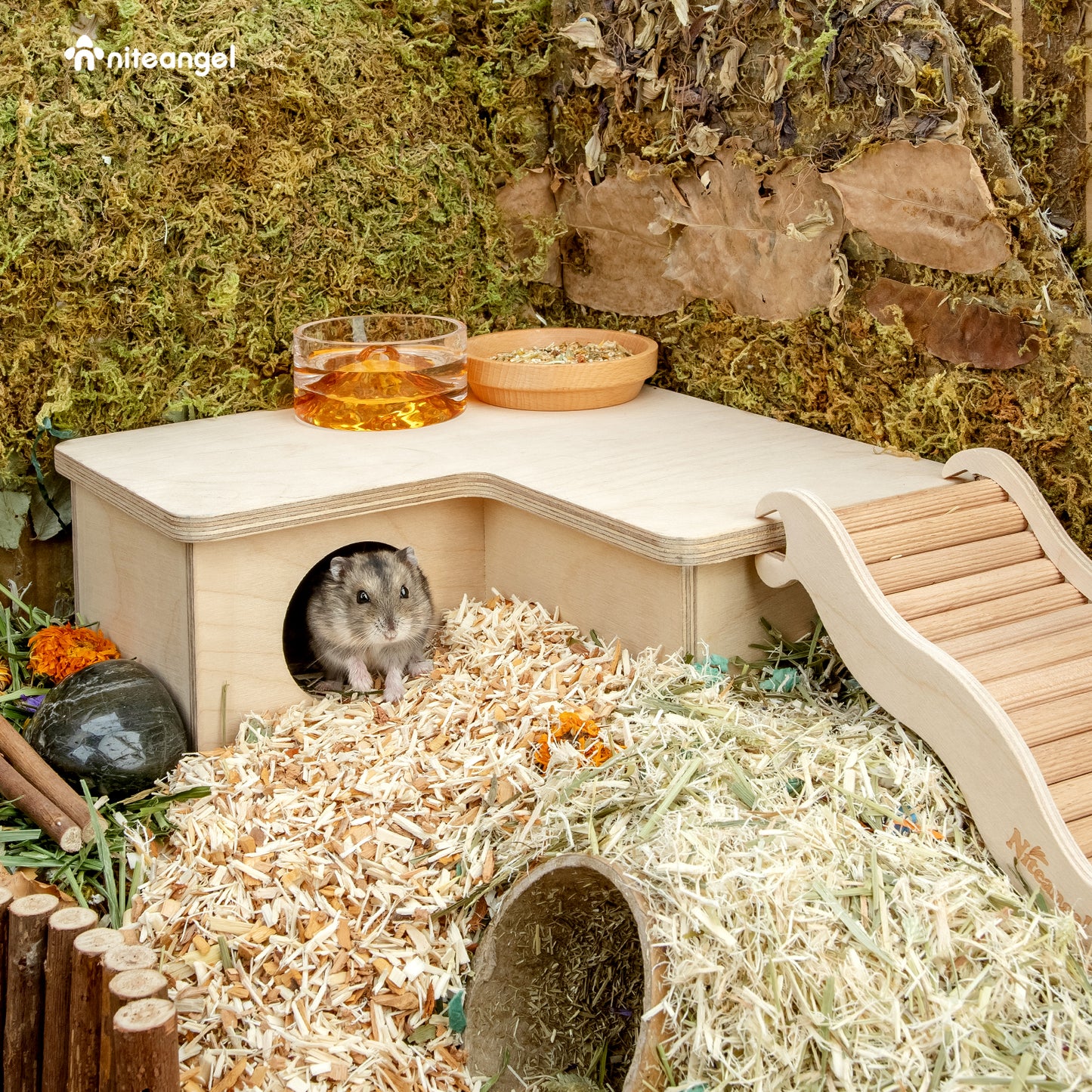 Niteangel Grande cachette en bois multi-chambres pour hamsters nains et syriens