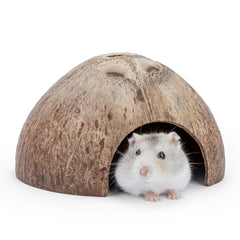 Niteangel Lot de 2 cachettes naturelles en noix de coco pour reptiles, lézards, araignées et poissons d'aquarium (surface lisse)